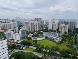 Leonie Suites (D9), Apartment #406647831